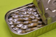 Браславский рыбный цех восстановят к концу 2013 года