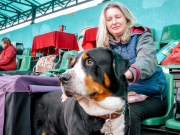 «Кубок Браслава 2018»: как на стадионе соревновались собаки разных пород
