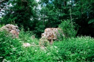 Развалины мельницы в Зарачье