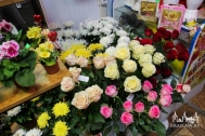 купить цветы Браслав